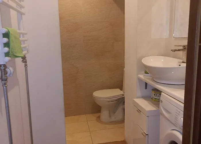 דירה Wiola Maly Udaly קטוביץ